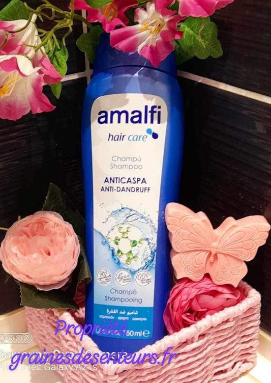 Shampoing Amalfi antipelliculaire format 750ml