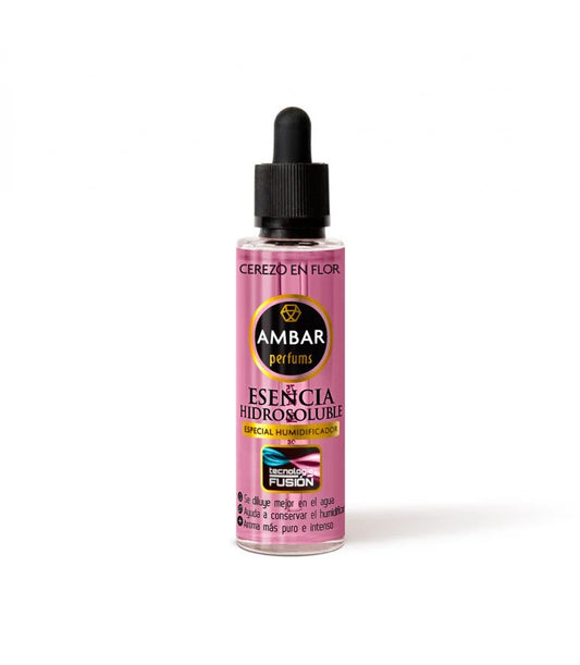 Essence concentré Ambar cerise 50ml